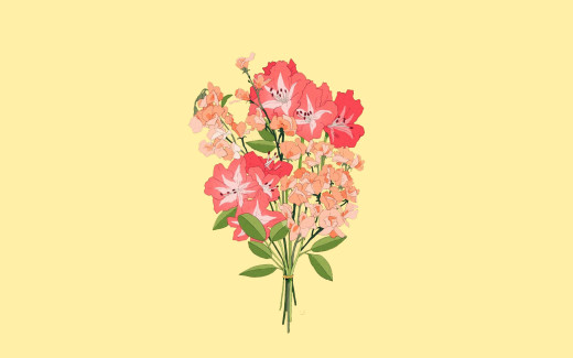 1614141 (a): :1920x1200